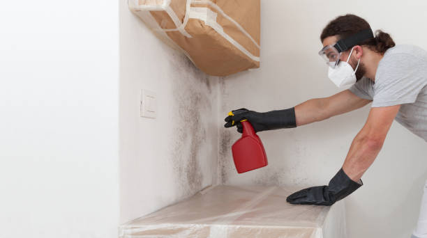 Professional Crawl Space Mold Removal technician working in Romeoville, IL
