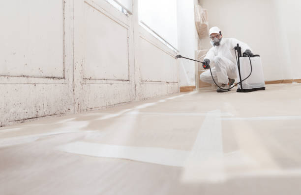 24/7 Emergency Crawl Space Mold Removal experts in Romeoville, IL